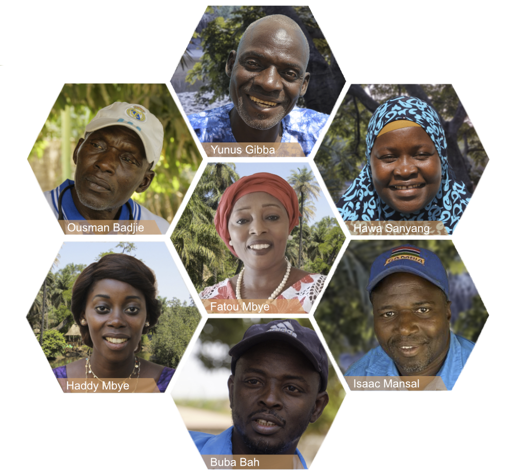 board in gambia von social projects for the gambia and senegal