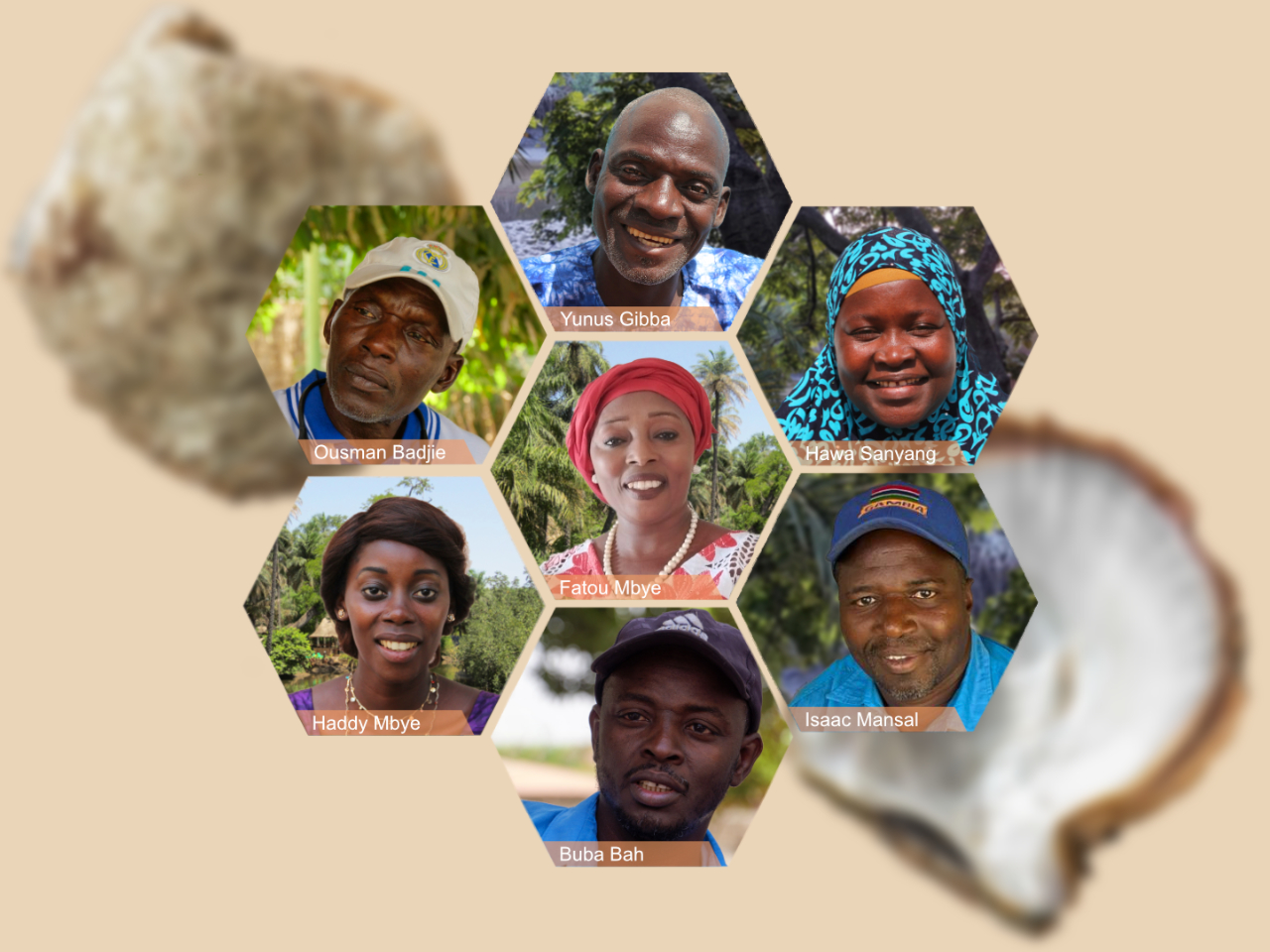 Unser Board in Gambia